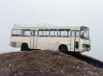 Ikarus 259.50 K1 1979 года